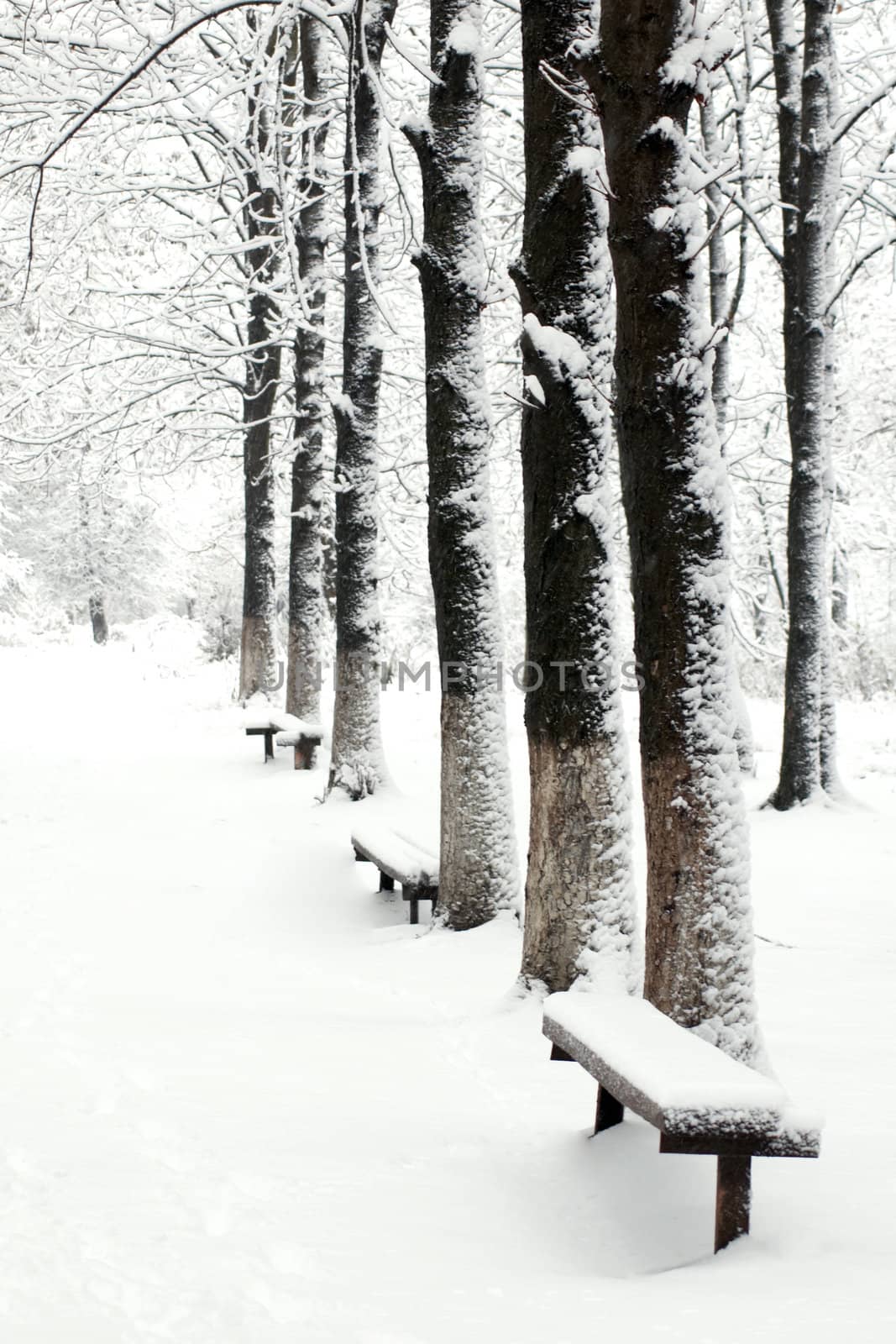 Path in snow-park by velkol