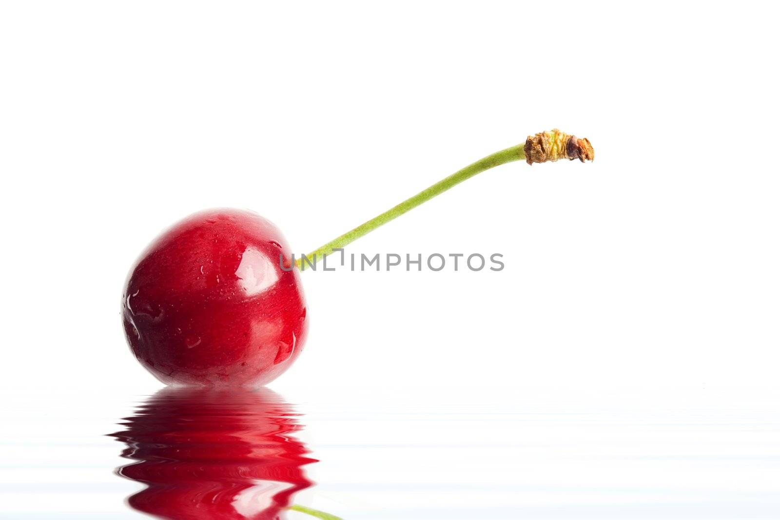 An image of red berry in a water. Image close up