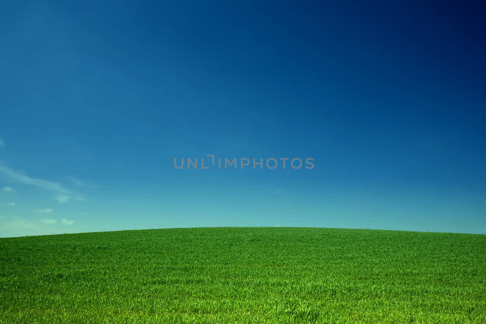 An image of sky over green field