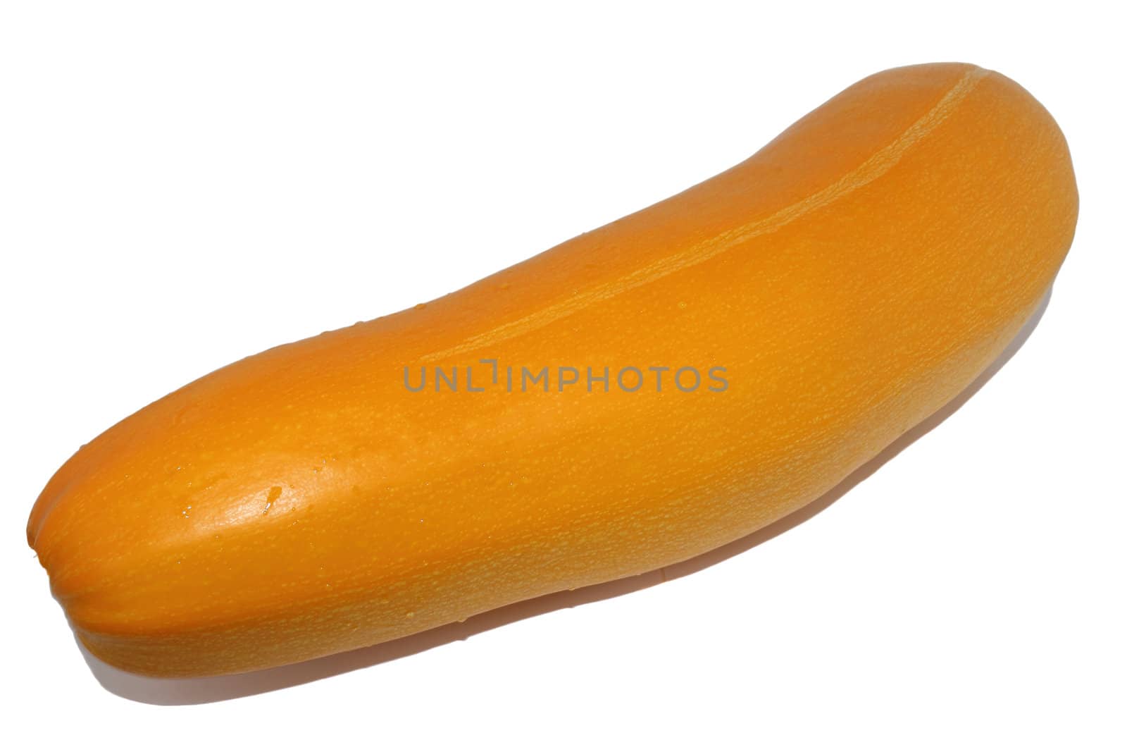 Vegetable marrow of yellow color of a sort "banana" on a white background