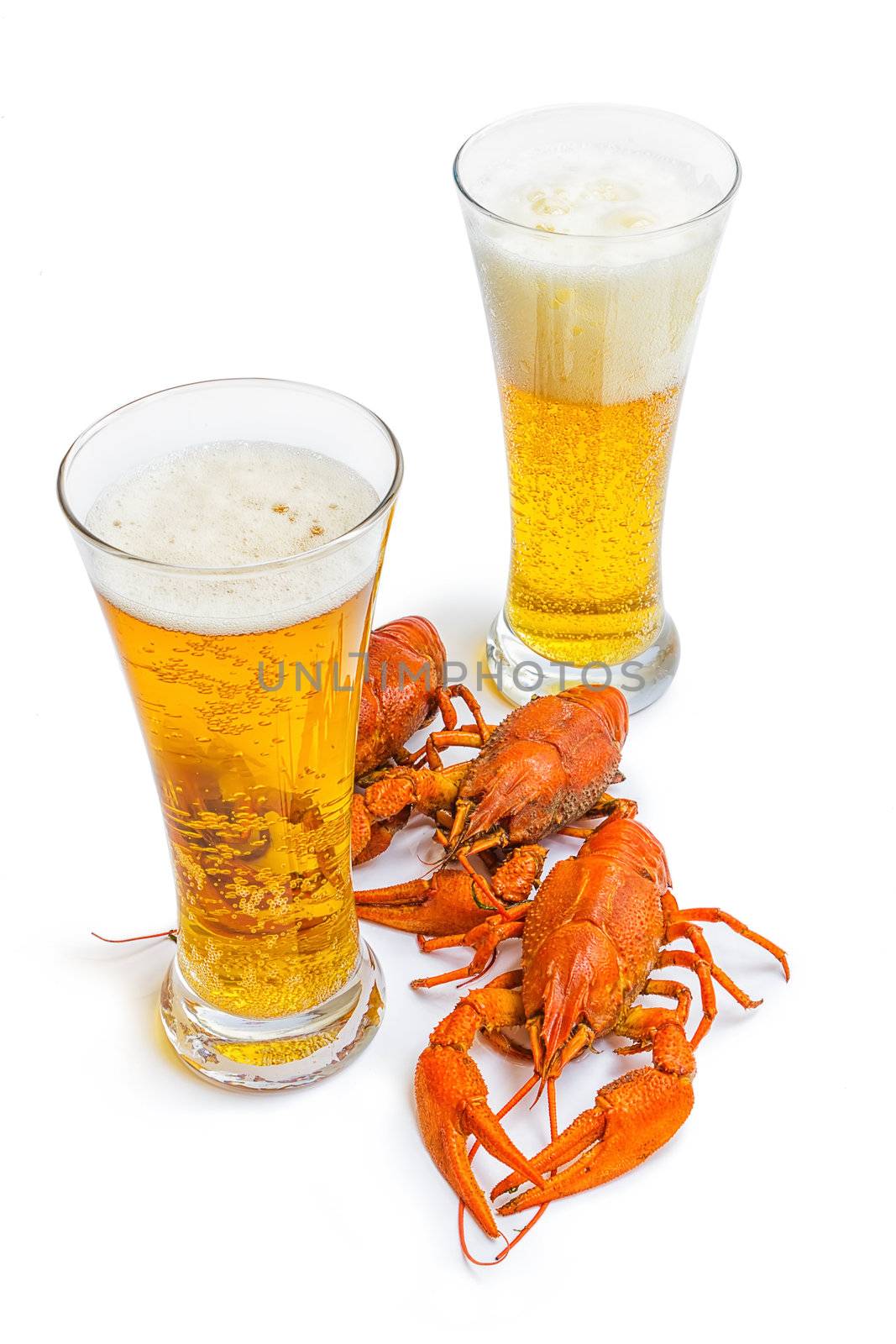 the red lobster with a glass of beer on white background