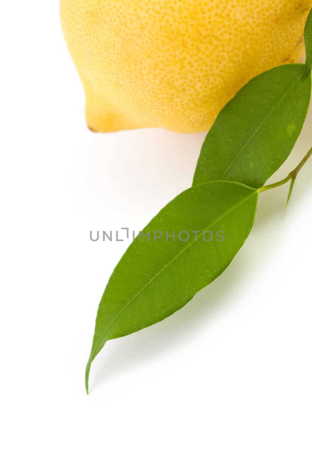 An image of a yellow lemon and green leaves