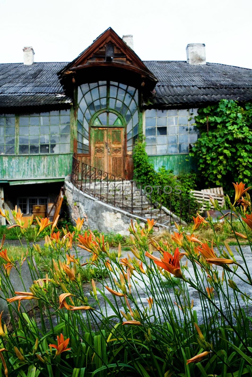 An image of house with wild grapes and flowers