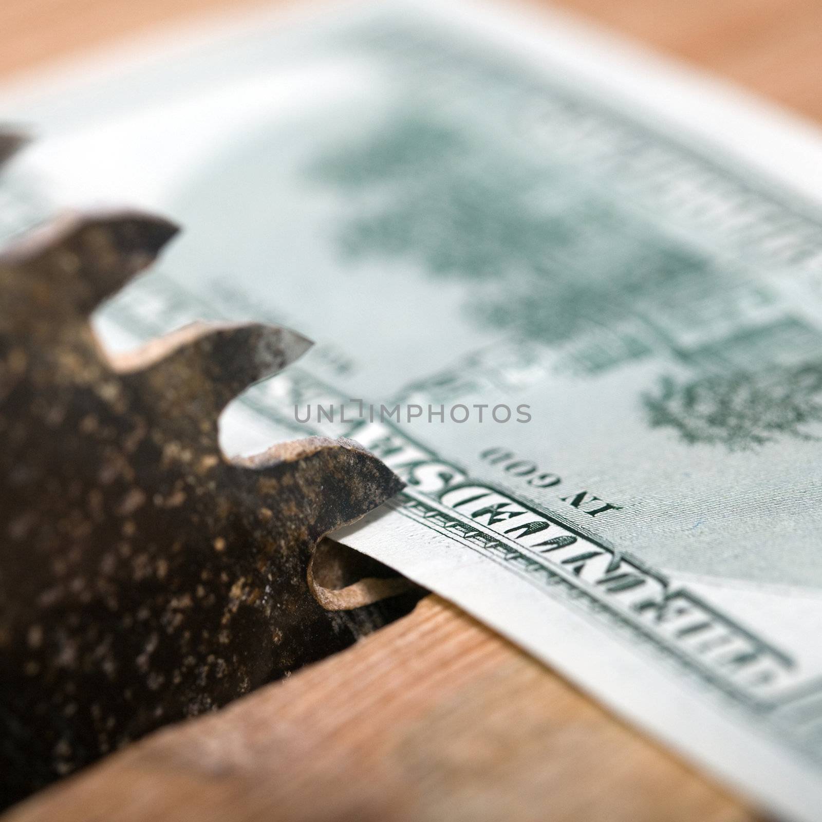 An image of dollar and circular saw