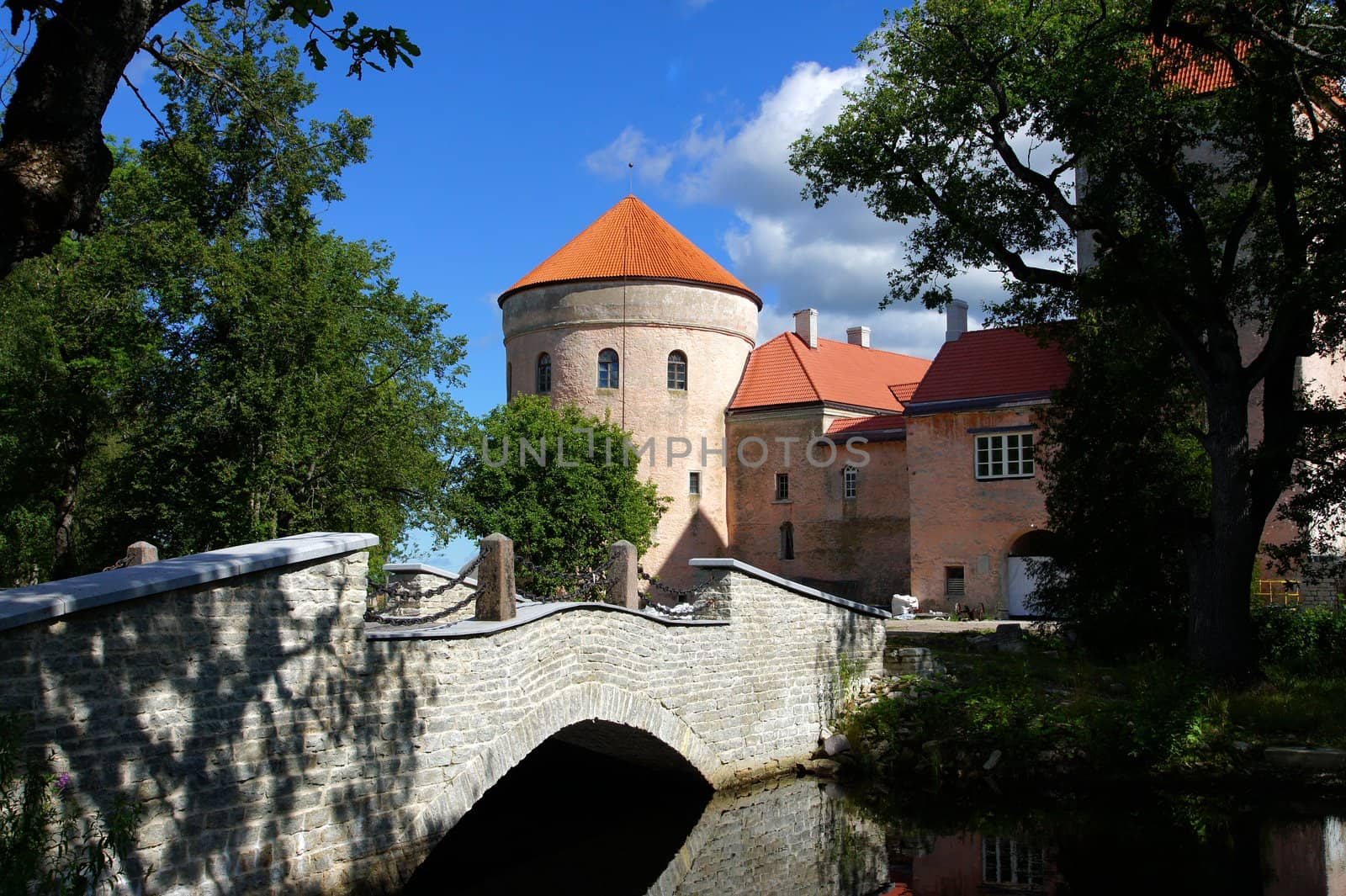 The ancient castle in the east of Estonia. 15 century