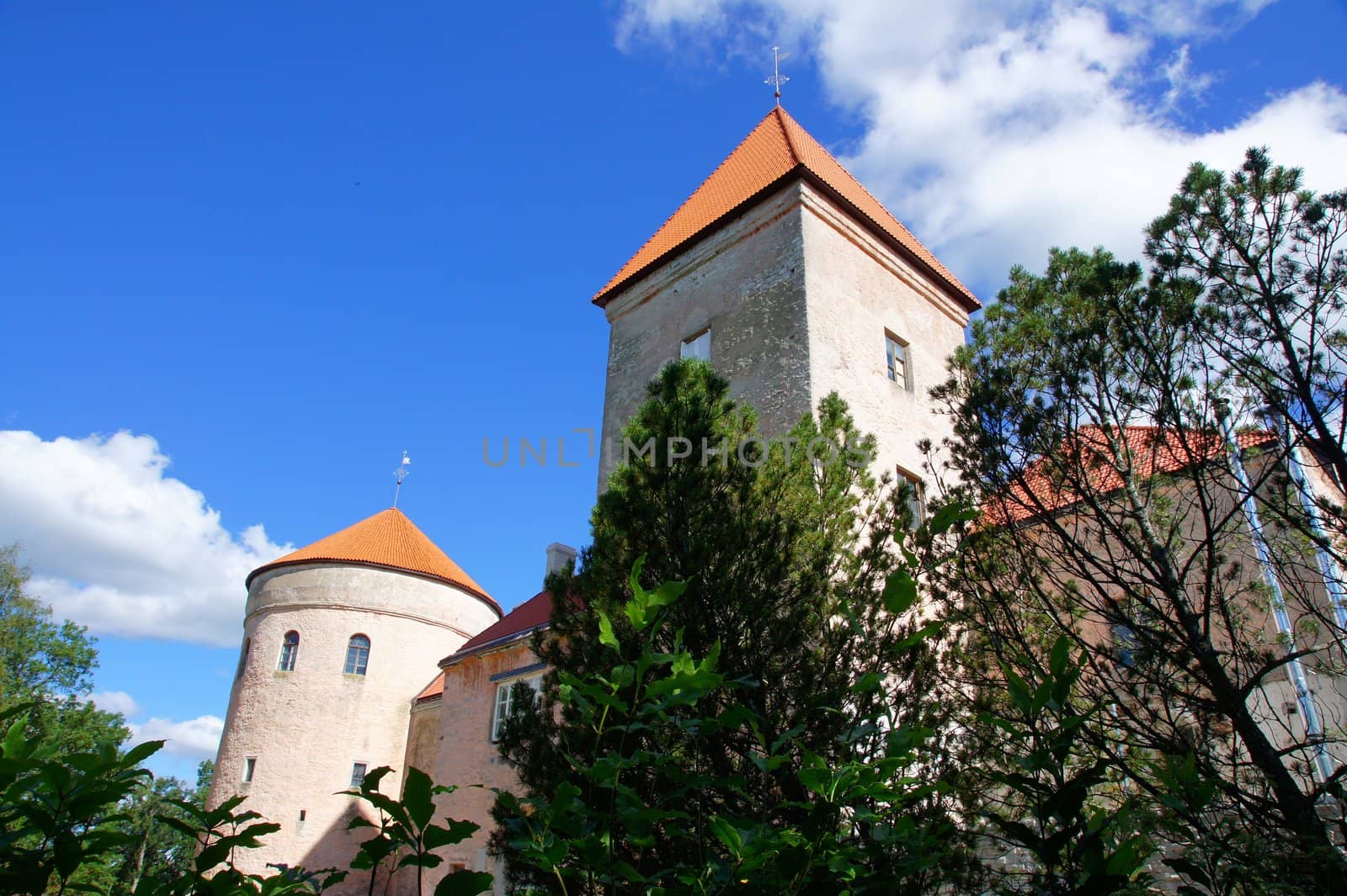 The ancient castle in the east of Estonia. 15 century