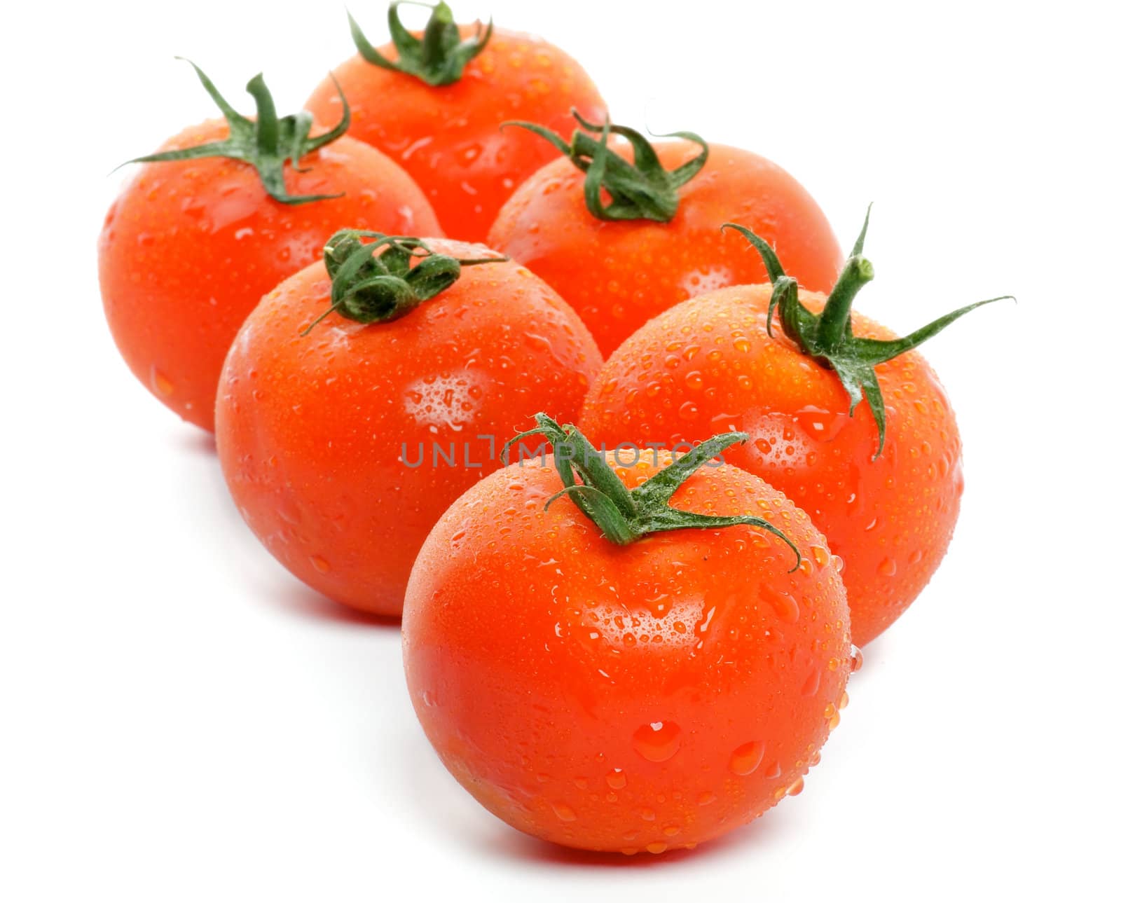 Arrangement of Fresh Tomatoes with droplets isolated on white background