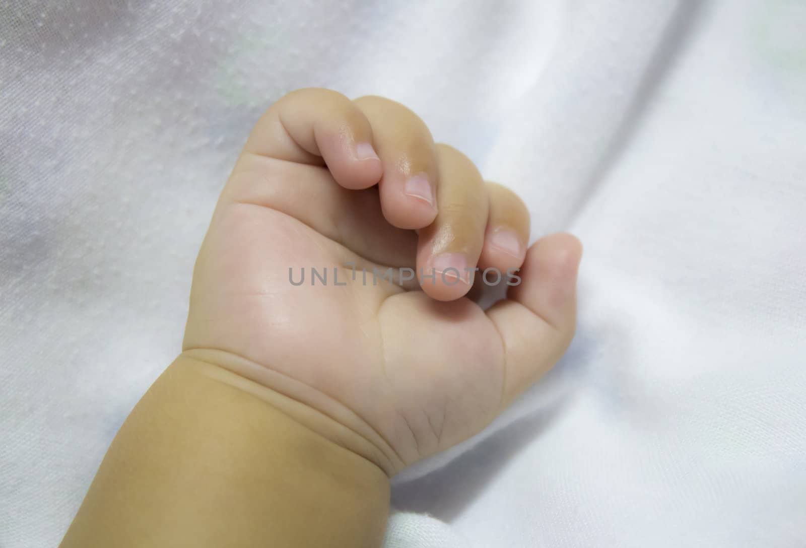 newborn baby's hand on white
