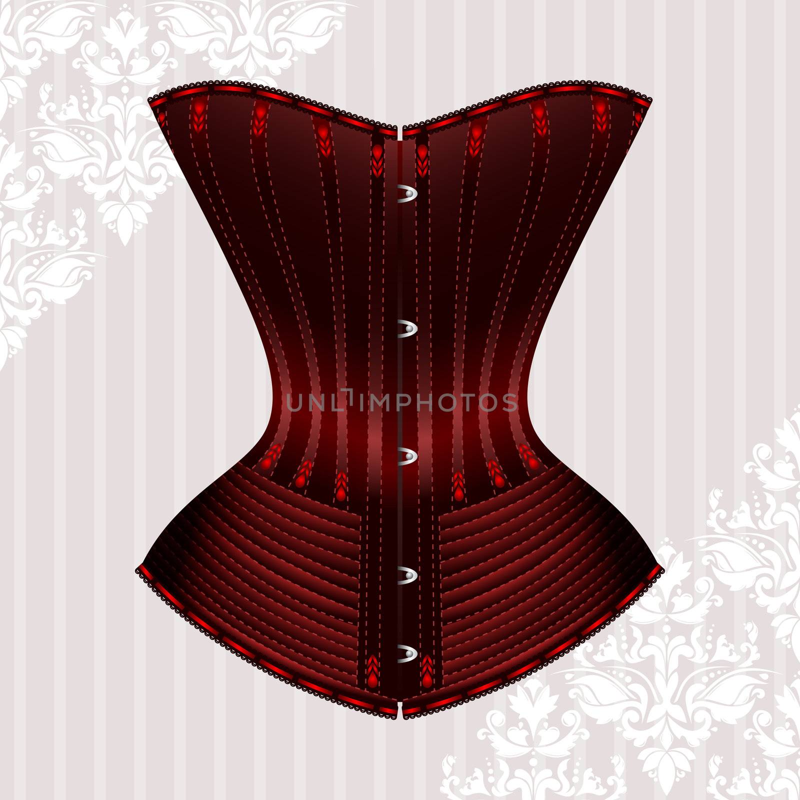 Vector illustration of corset inspired by historic corsets