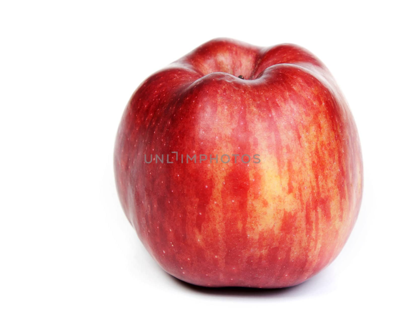 red ripe apple on a white background