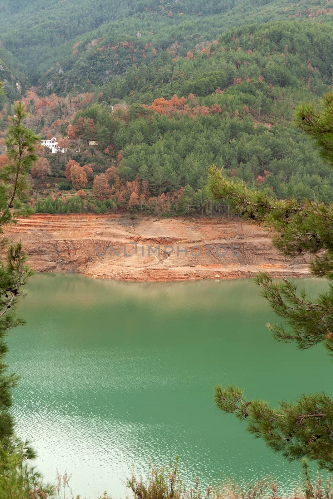Views of the azure mountain lake through the pine forest