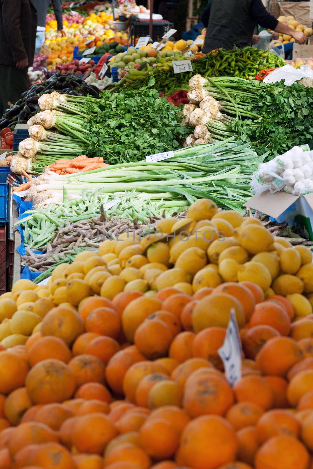 Shop the fruit market on market day
