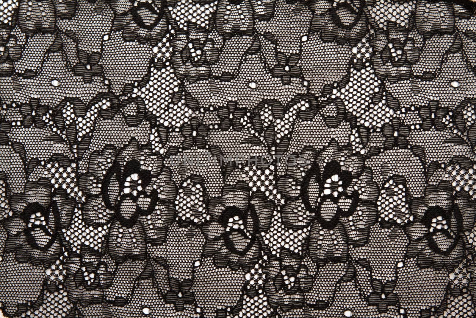 Background from black lace with pattern with form flower on white