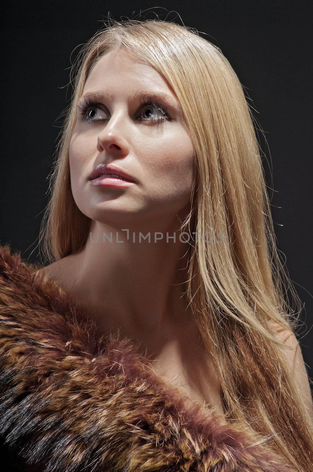 Fashion style portrait of young woman