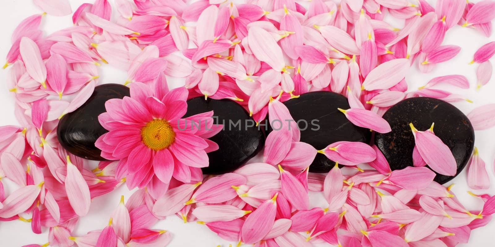 Pink petals and black stones for SPA