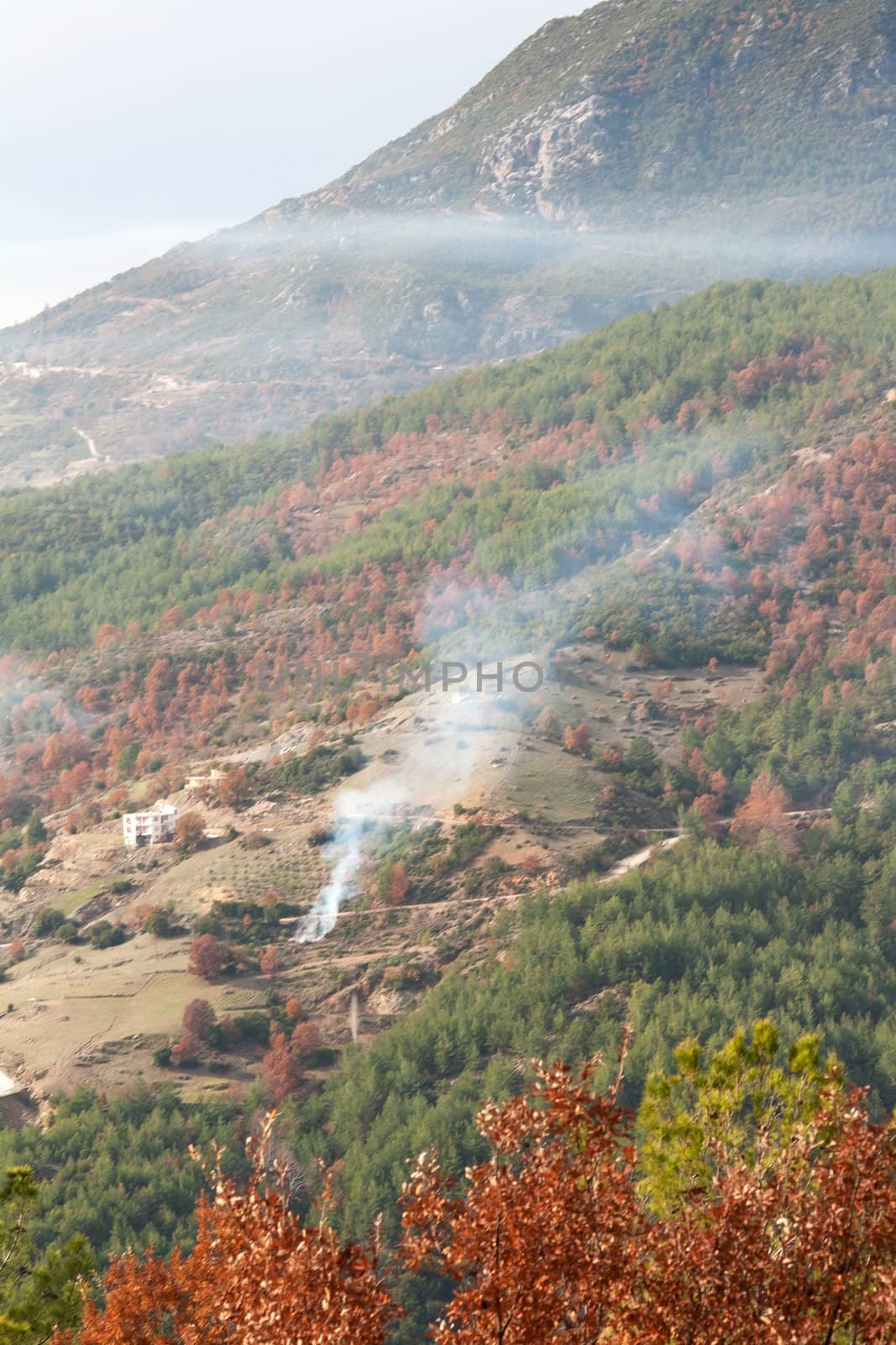 Views of the azure mountain lake through the pine forest