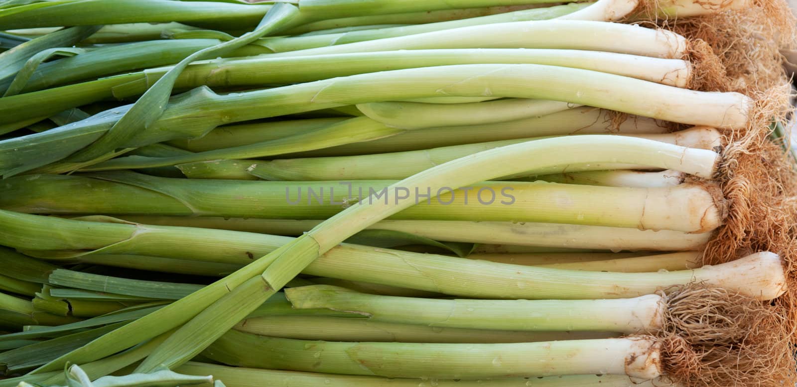 green, fresh leeks with roots in the bazaar