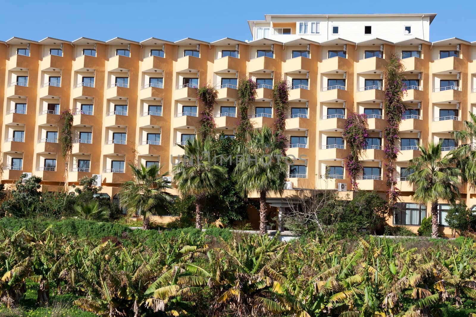 building with balconies and a palm tree