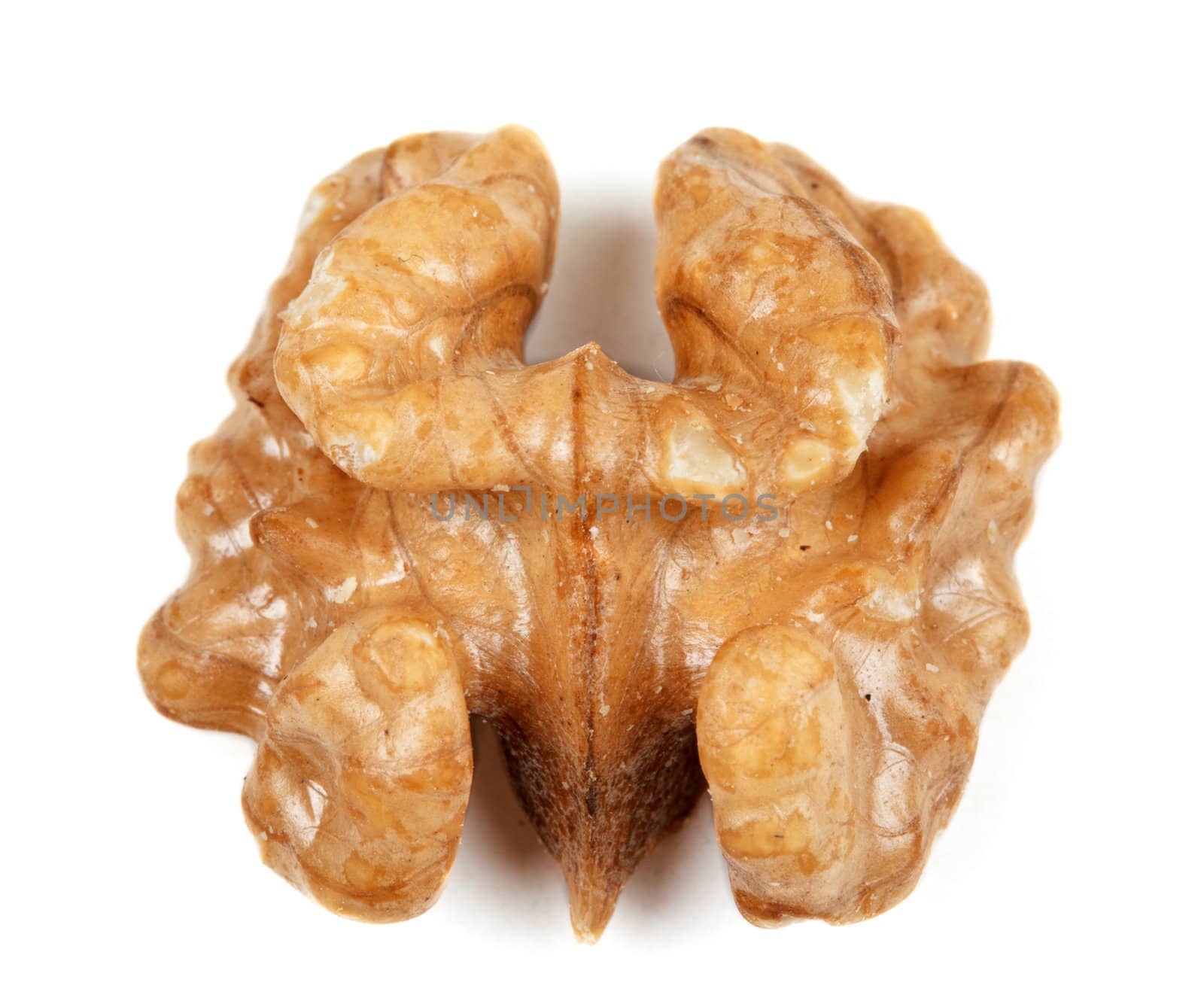 half peeled walnut closeup isolated on white background