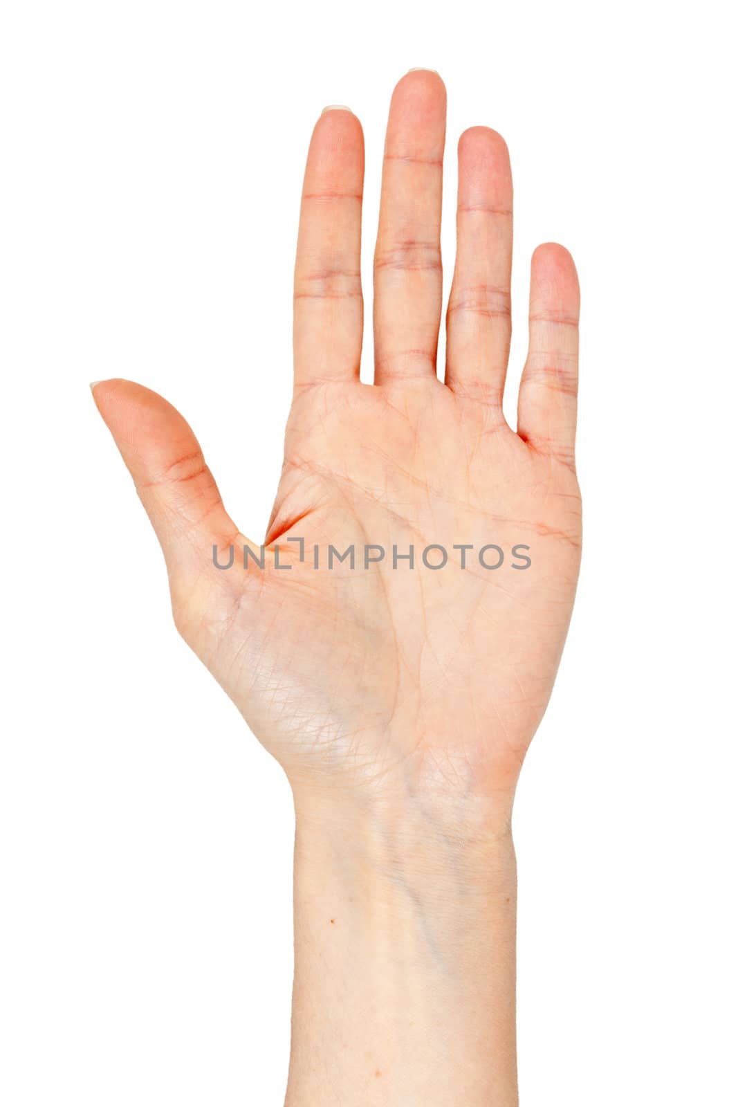 woman's hand, palm outstretched on a white background