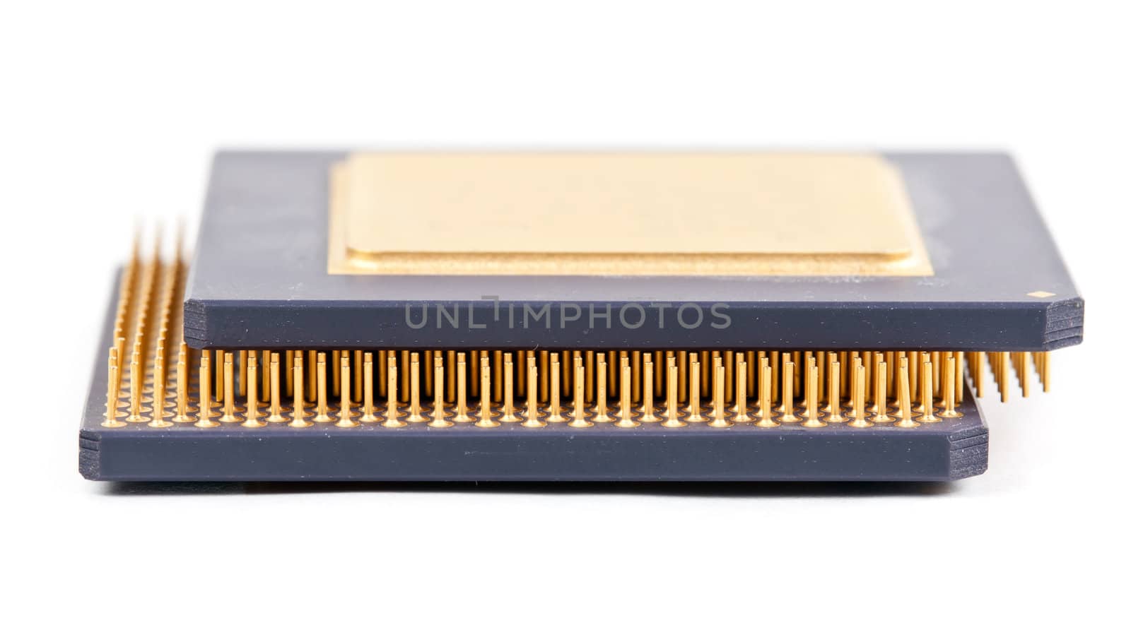 Two old processor with the gold contacts on a white background