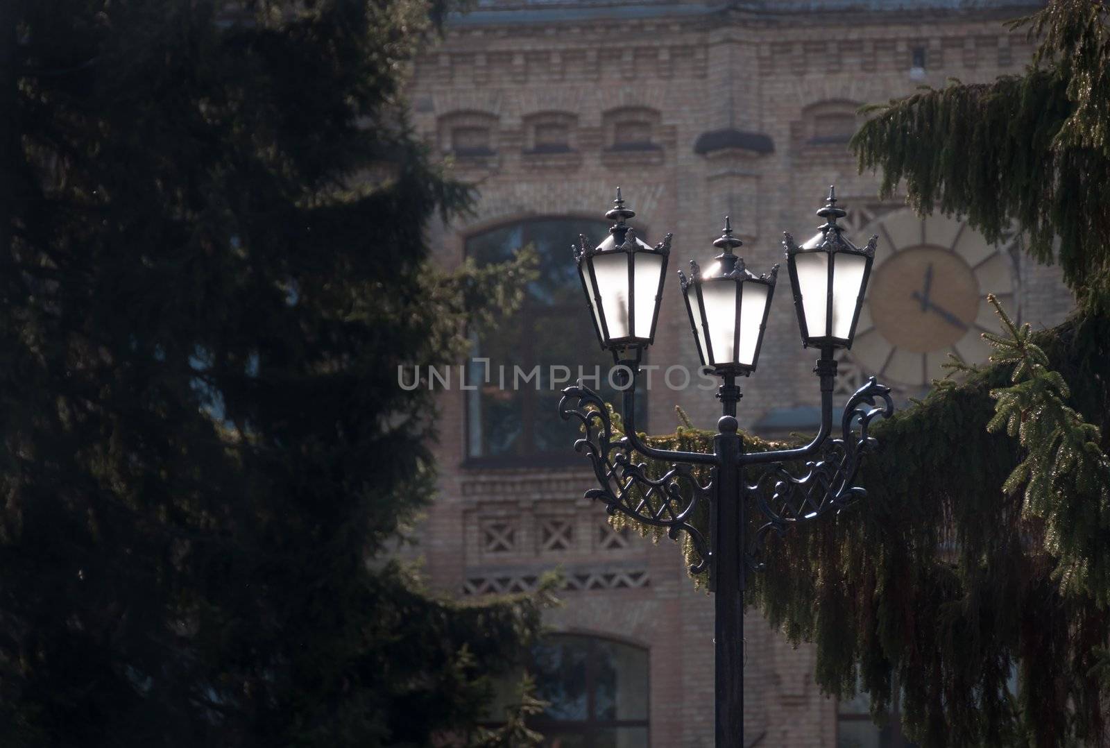 Antique metal street lamp in front of vintage building and trees