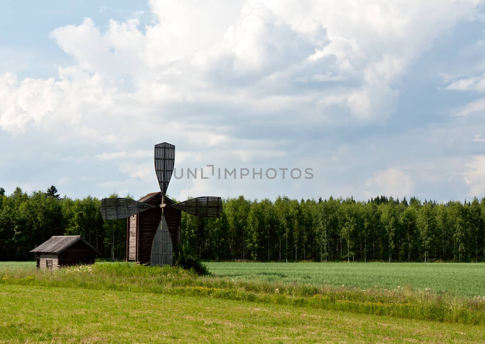 The old wooden mill on the background of forest plantations