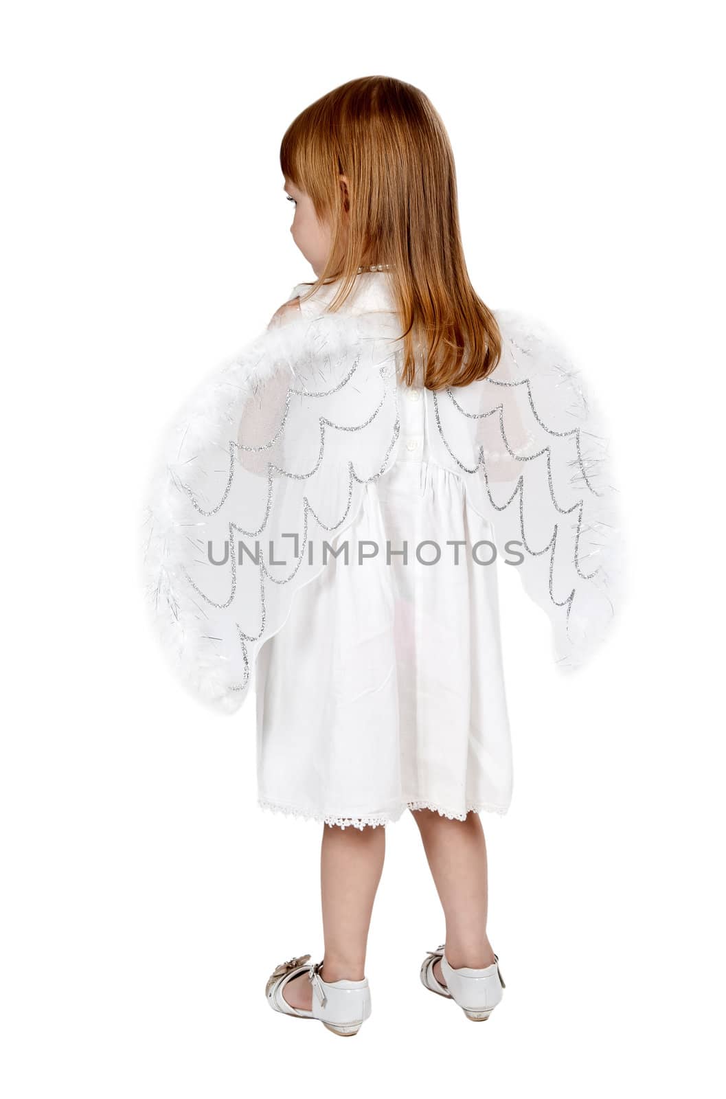 little girl with angel wings in back in the studio on a gray background