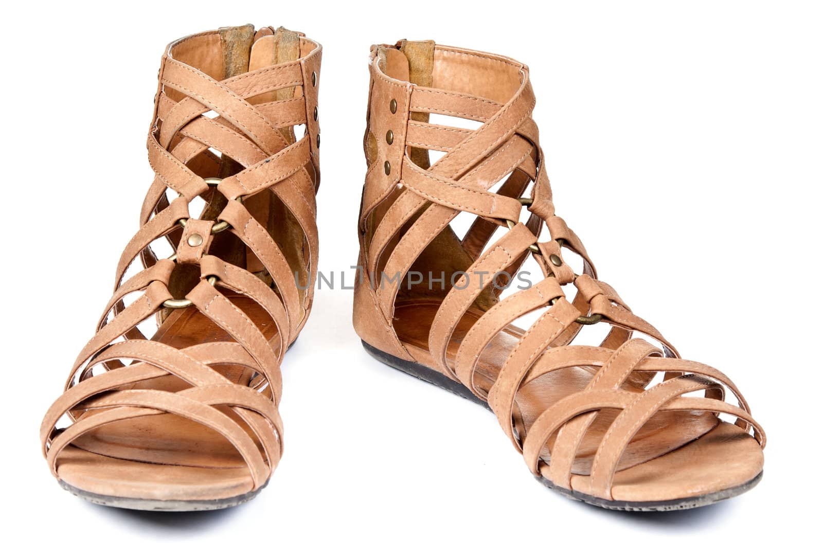 brown sandals women shoes isolated on white background
