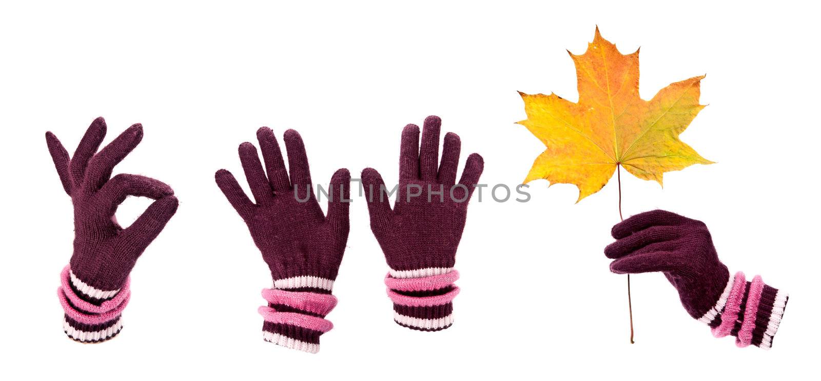 A collage of warm gloves with autumn maple leaf.