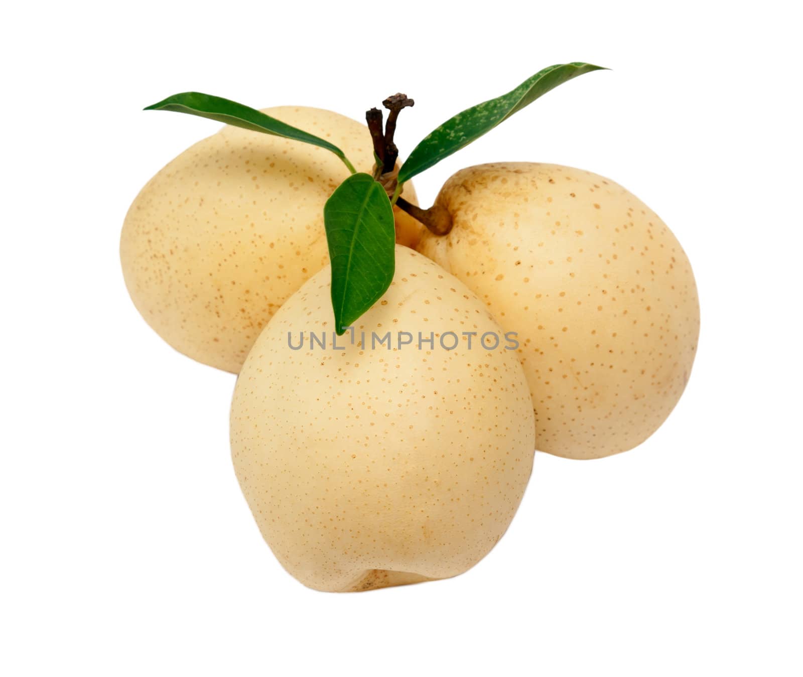 three ripe yellow pear with green leaves isolated on white background