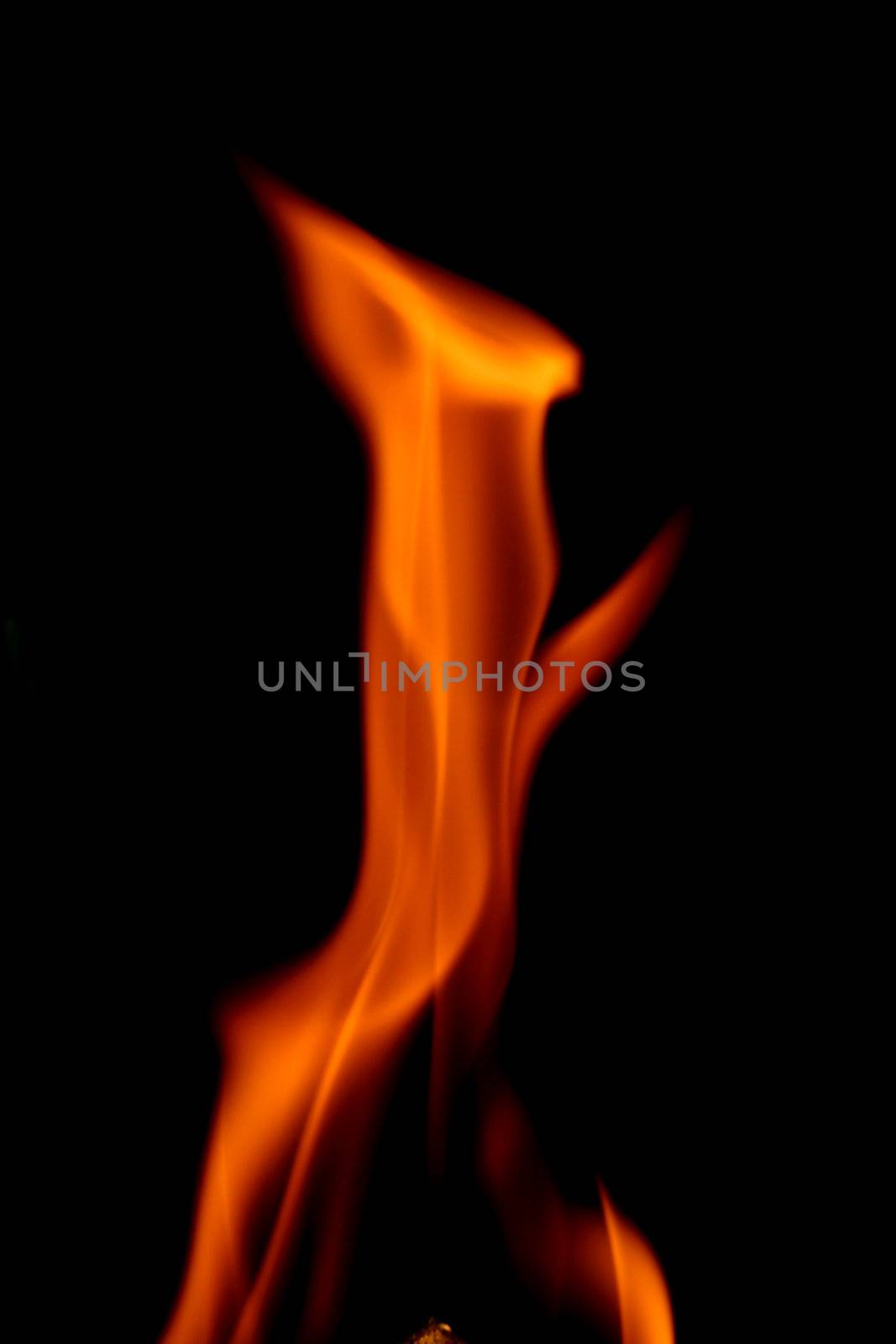 fire on black close up abstract background