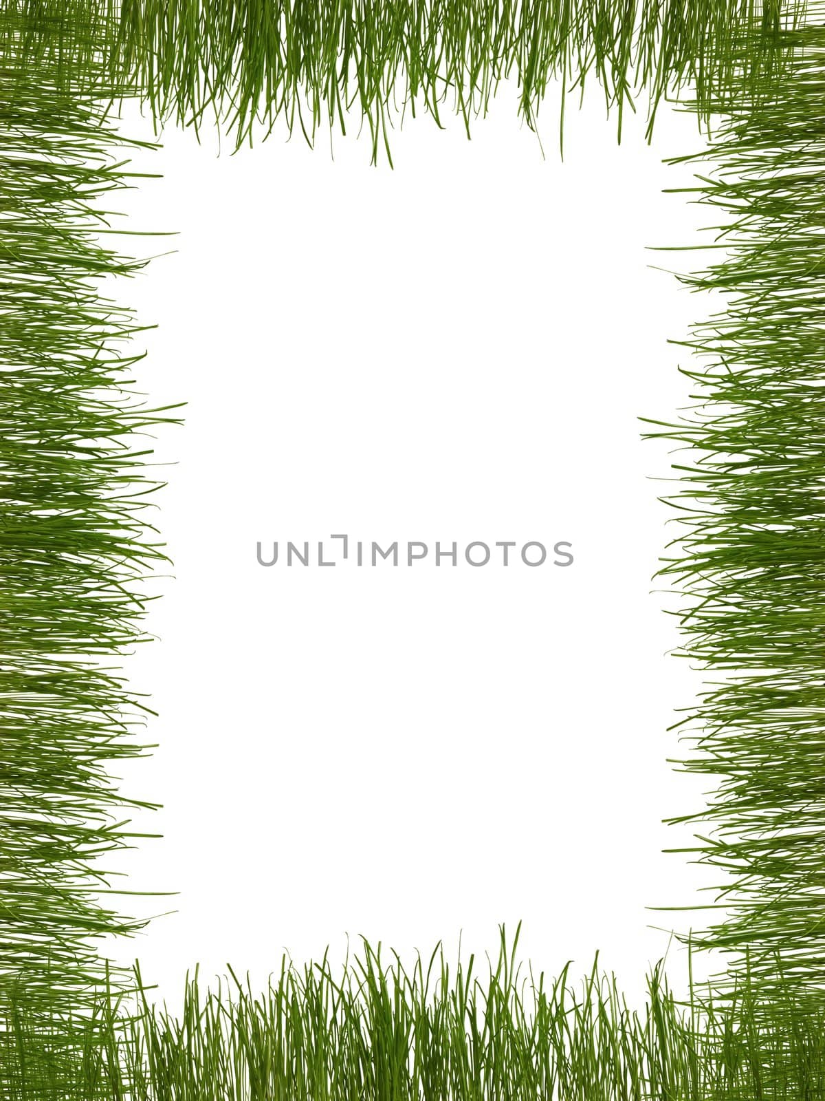 An image of frame of green grass