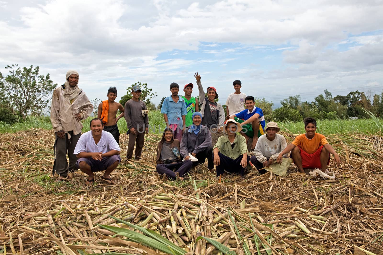 Group of male Filipino sugar cane field workers sit for a group portrait in a field of cut cane stalks in the Philippine Islands.