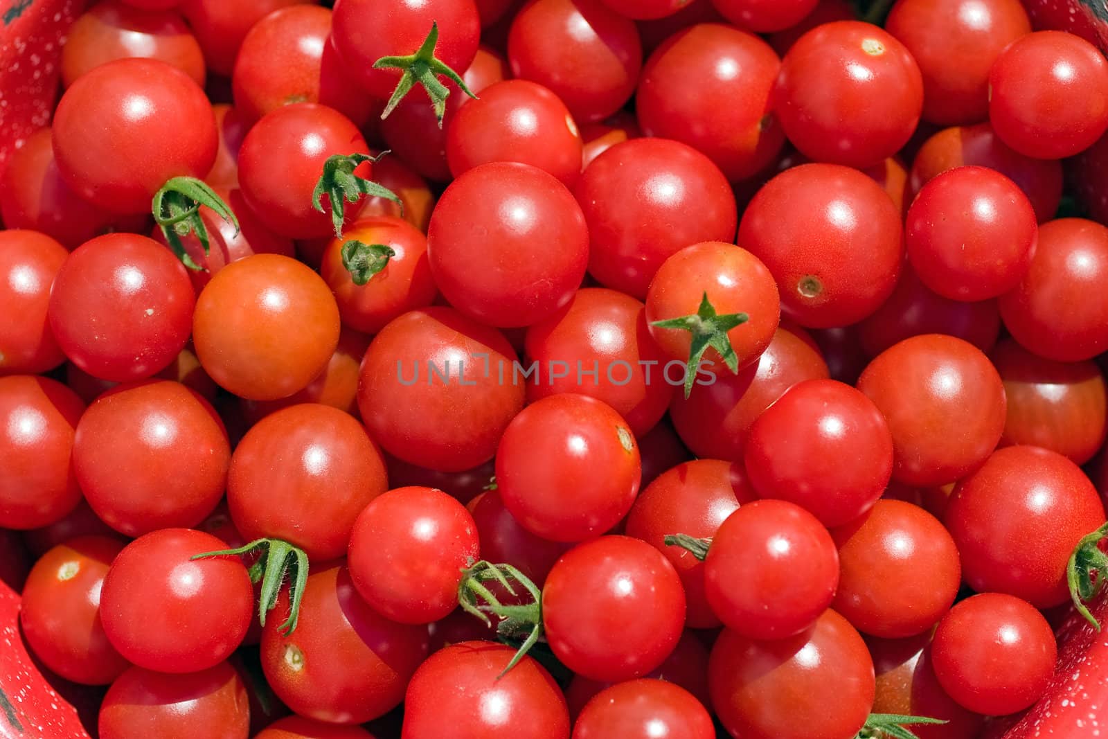 A bowl full of red, ripe cherry tomatoes.