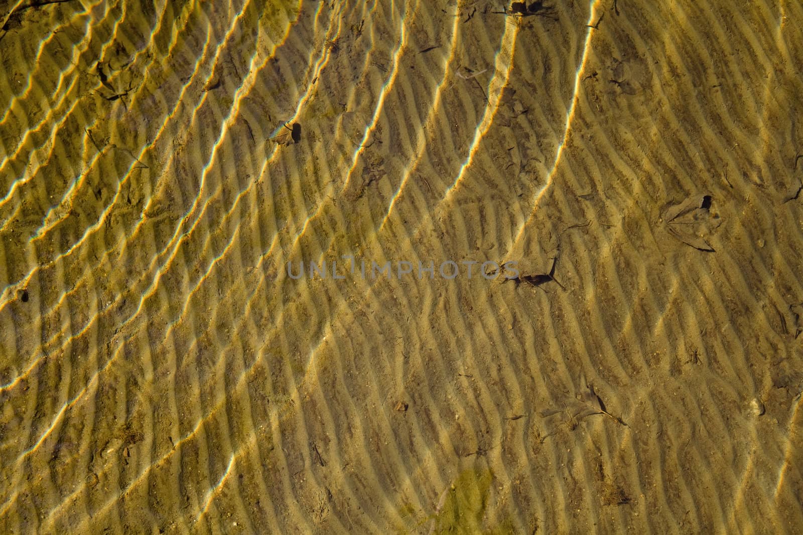 Abstract background of the yellow, sandy bottom of a pond with water ripples reflecting dark and light from sunshine.