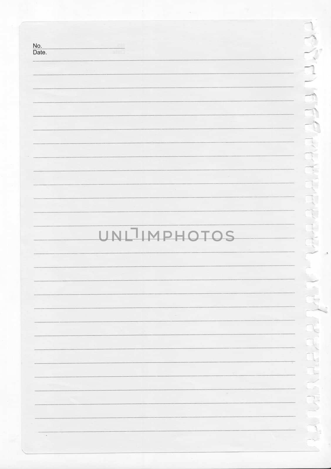 tore page from a notebook, isolated on white.