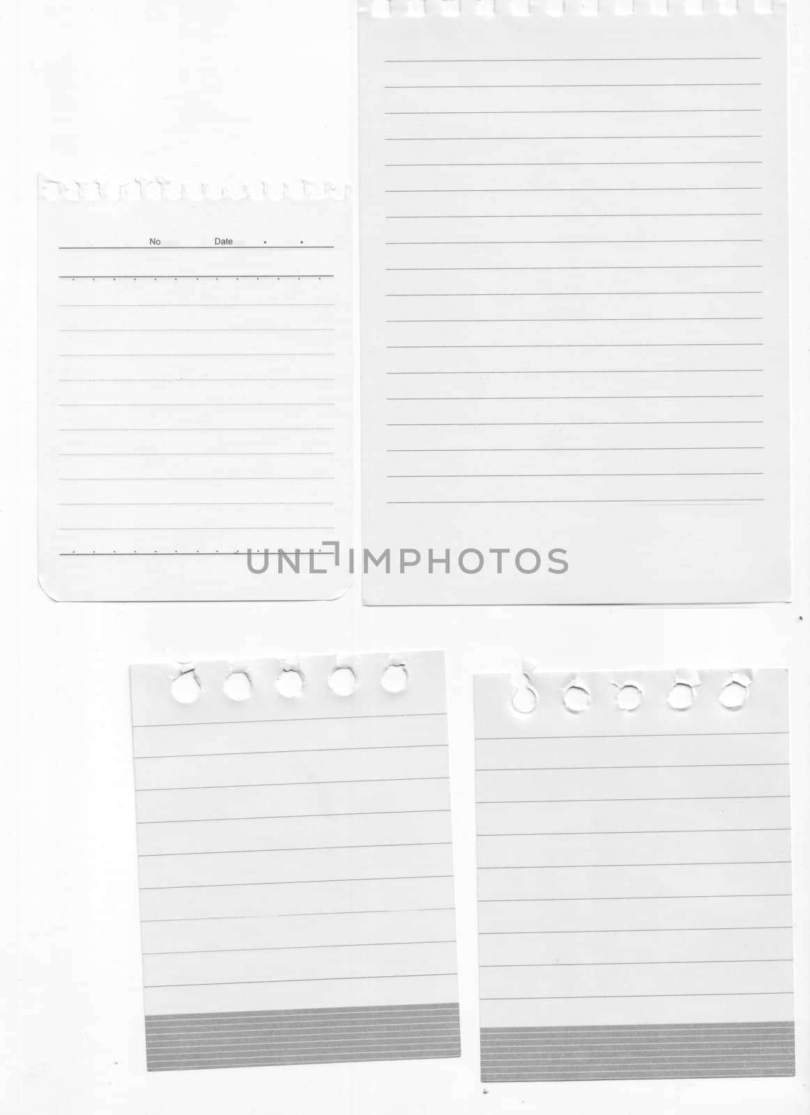 different size of notepad, isolated on white background