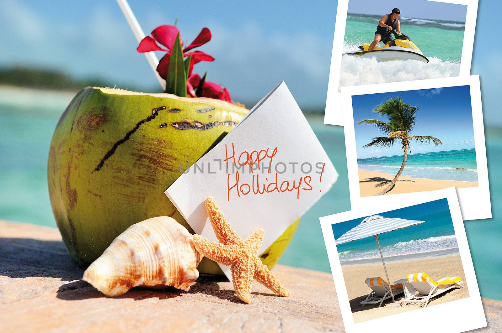 coconuts cocktail, starfish, sea outdoor with hlidays pics