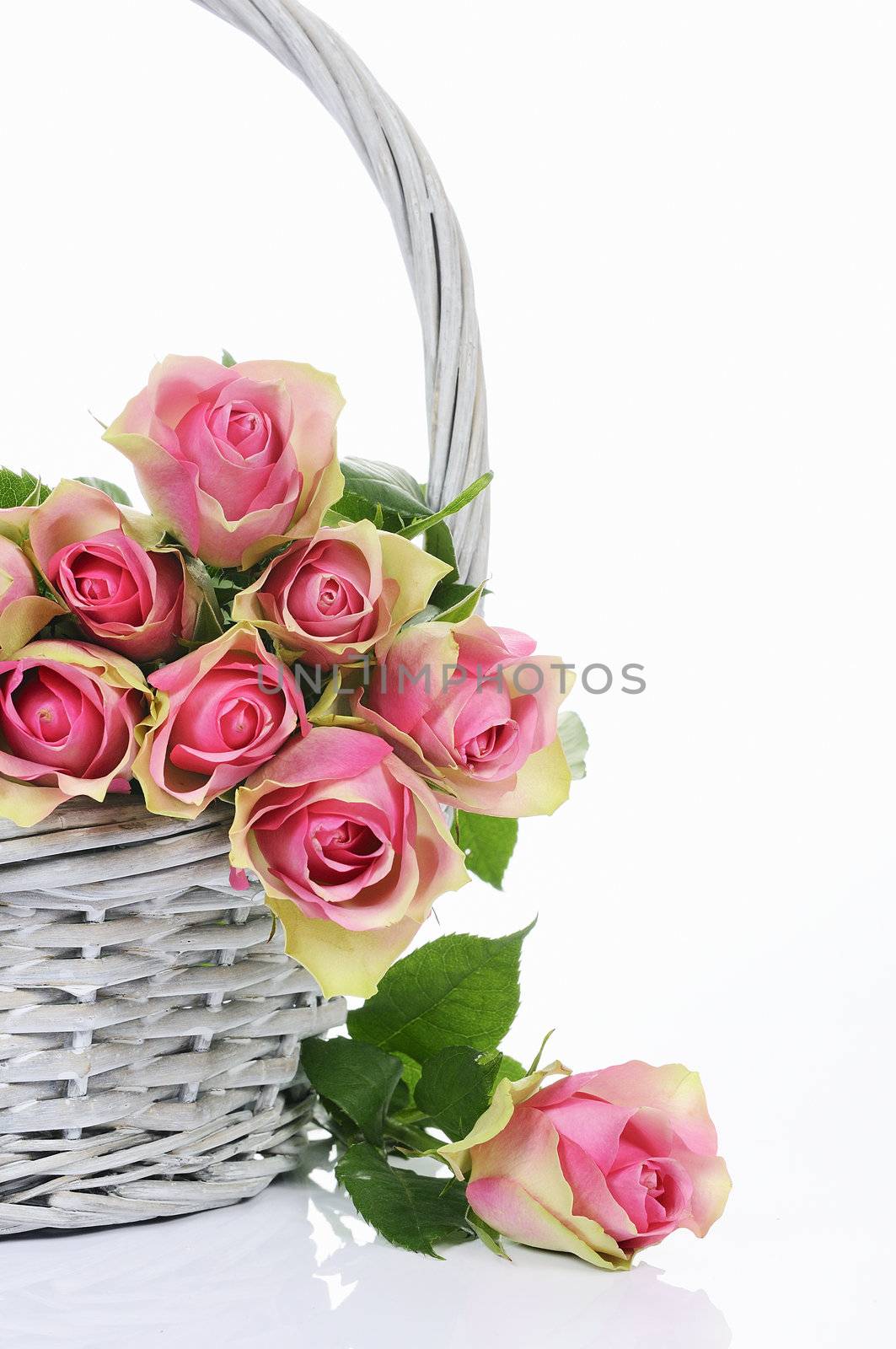 bouquet of pink roses in basket isolated on white background 