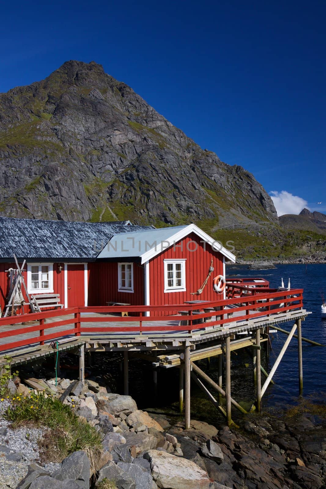 Picturesque red fishing hut on the coast of fjord on Lofoten islands in Norway