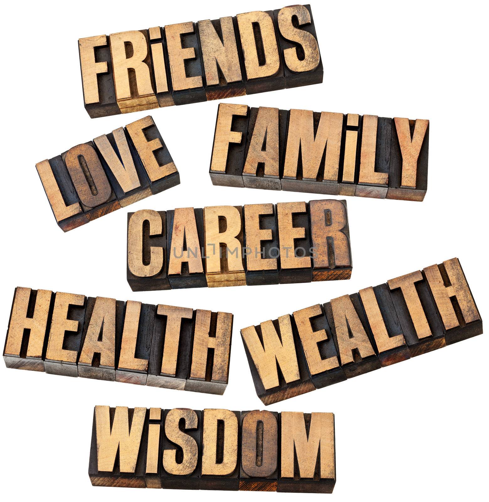 career, family, wealth, love, friends, health, wisdom  - list of popular life values  - a collage of isolated words in vintage letterpress wood type
