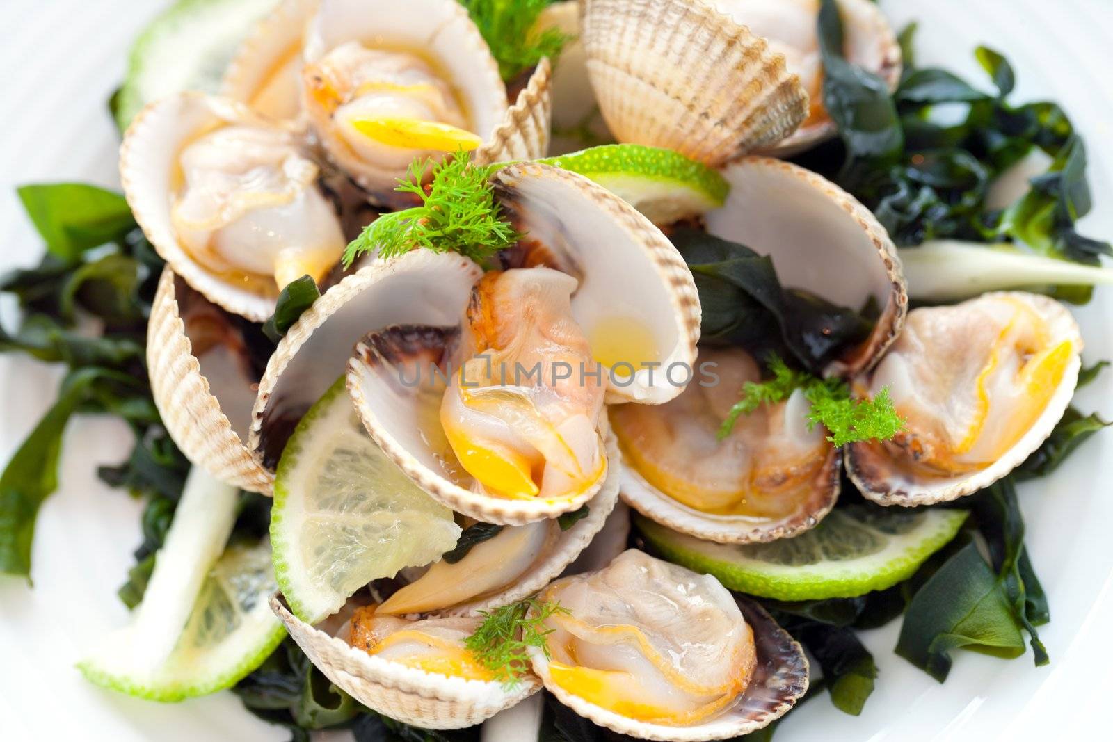 Macro close up of clam appetizer with lemon.