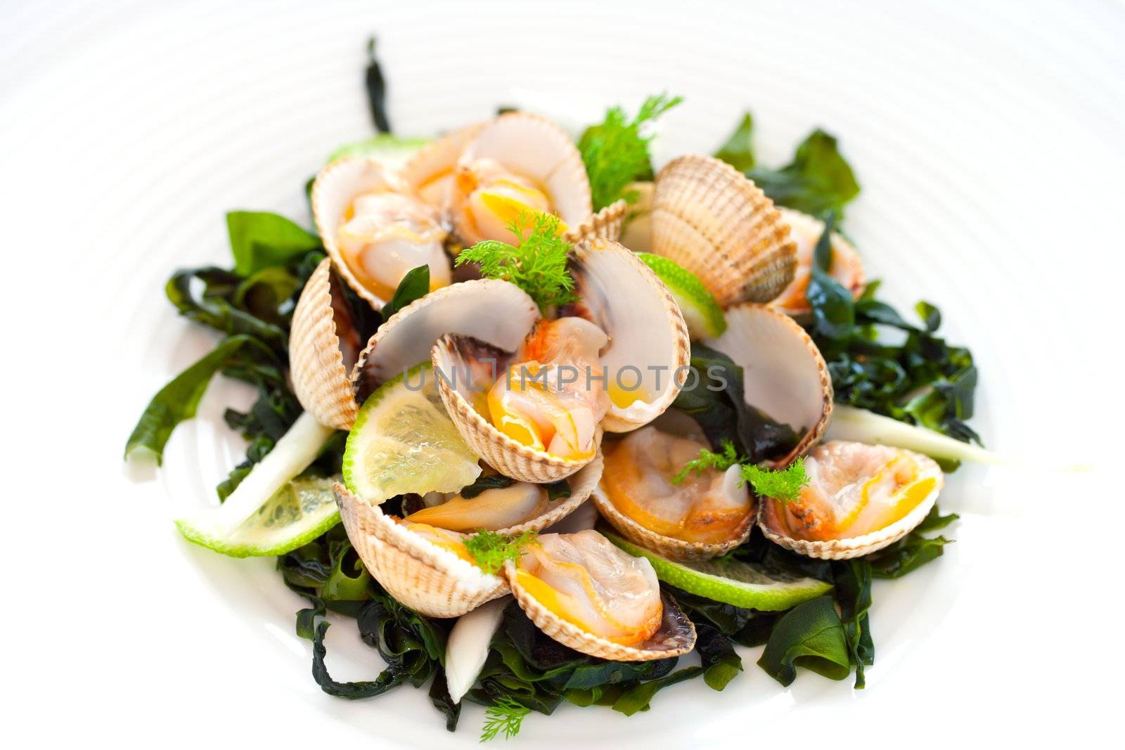 Macro close up of clam starter with lemon and greens..