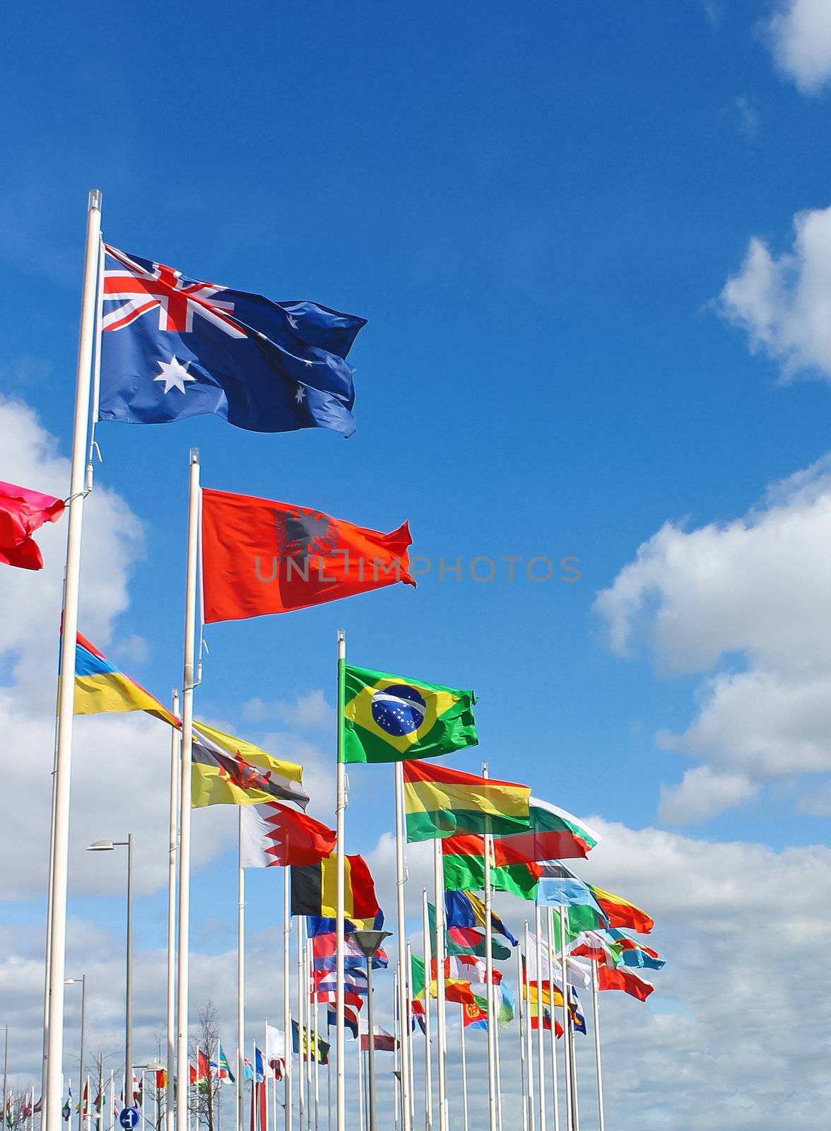 International flags on  waterfront of Rotterdam. Netherlands. by NickNick