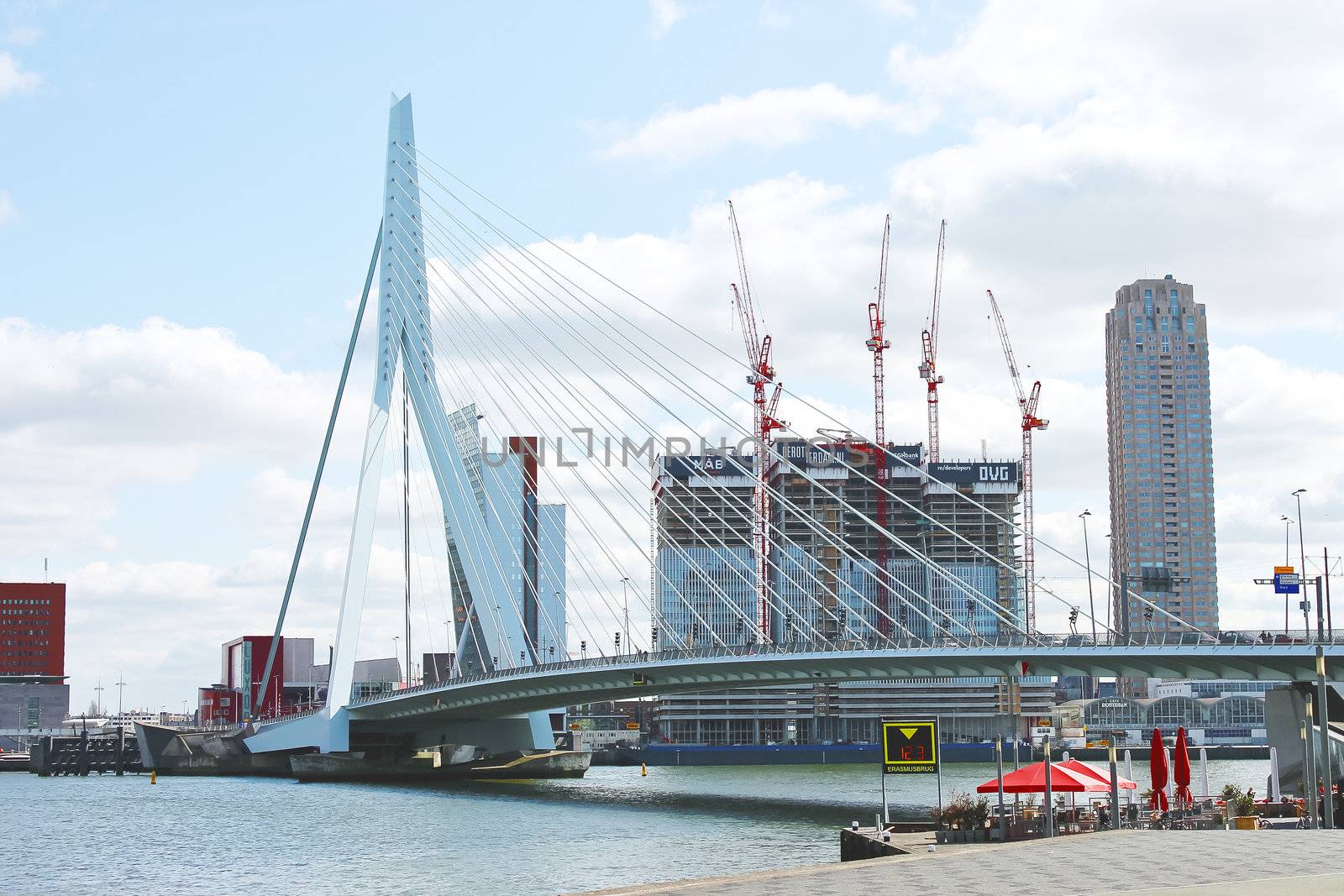 Erasmus Bridge in Rotterdam. Netherlands