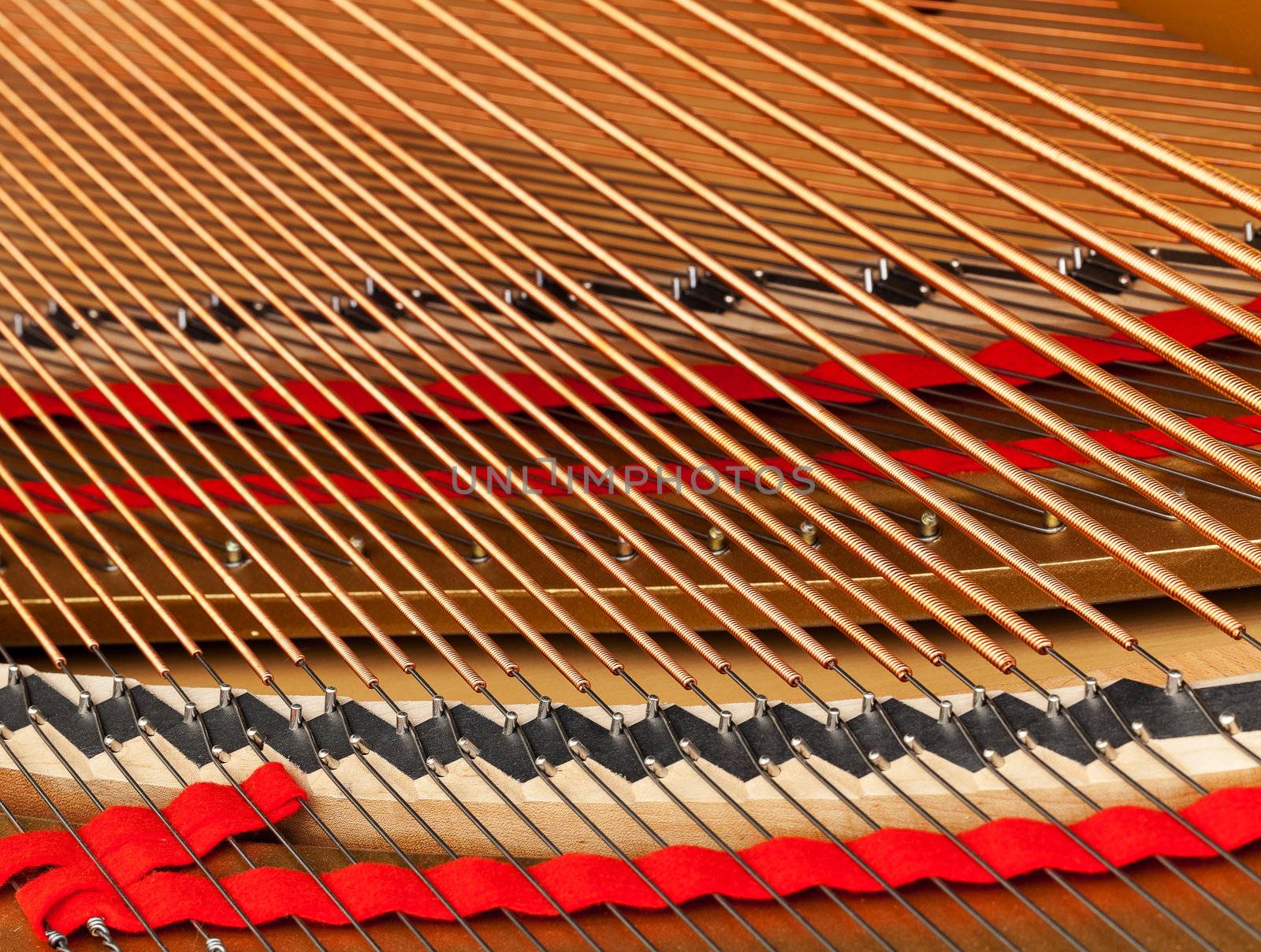 Detailed interior of grand piano showing the strings, pegs, sound board with focus close to the camera viewpoint