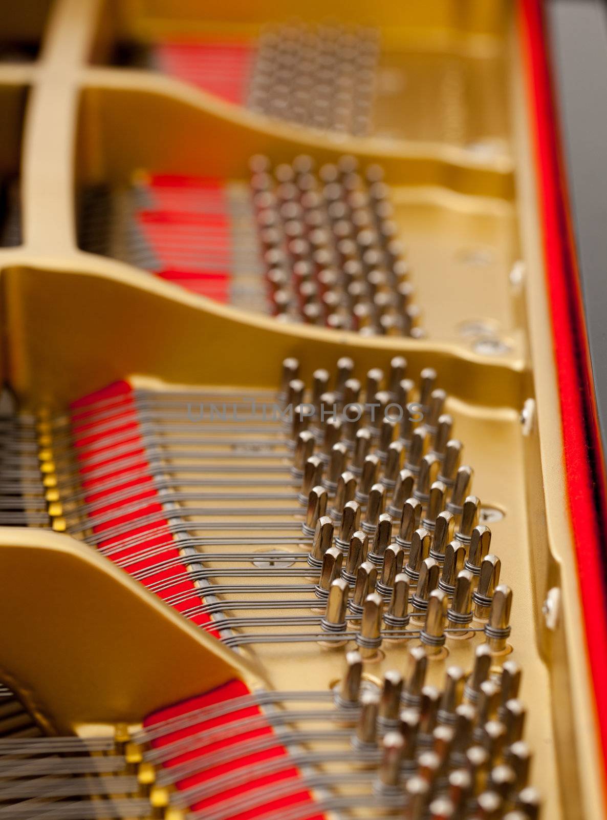 Detailed interior of grand piano showing the strings, pegs, sound board with focus on one section