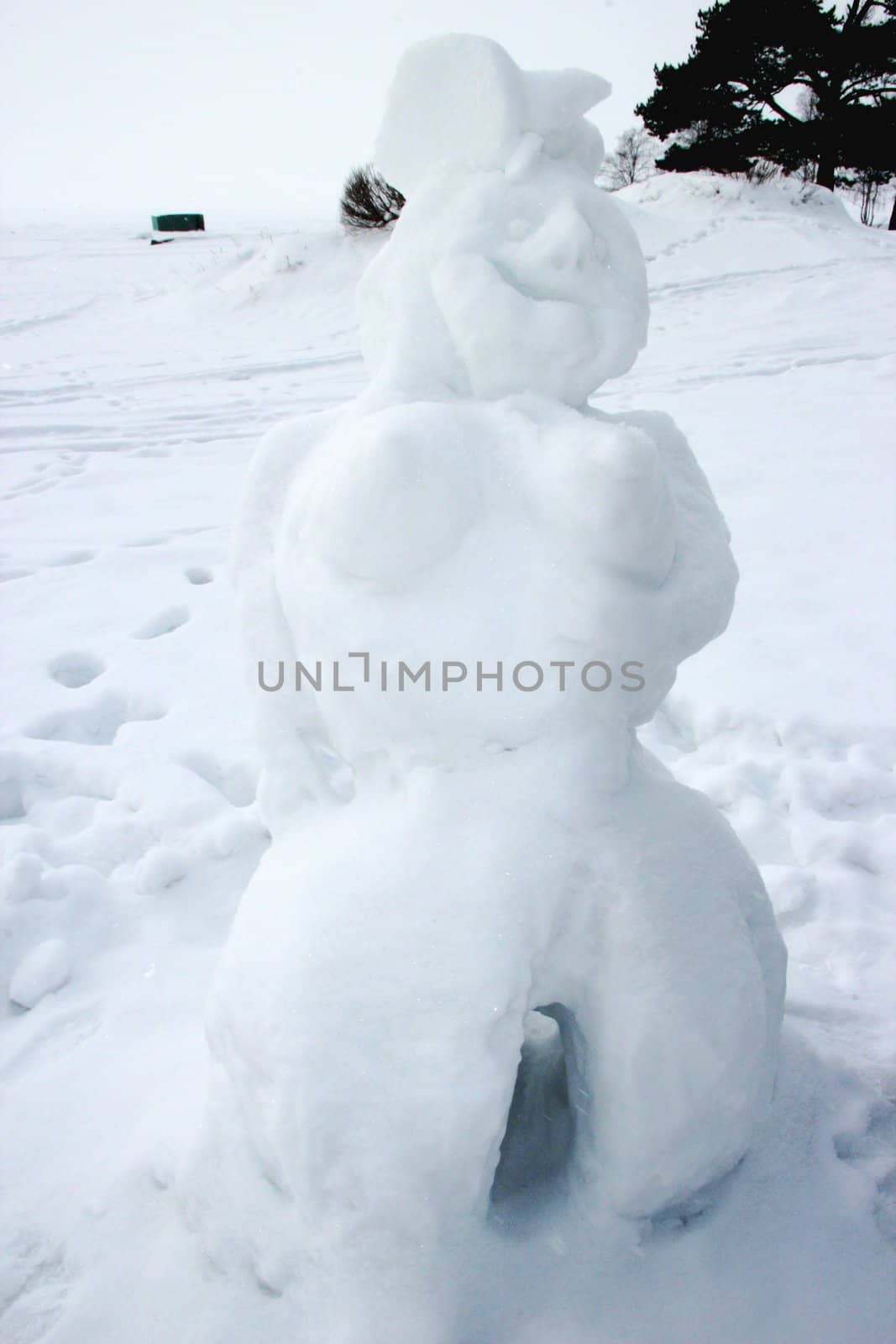 Funny snowman - smiling snowwoman. winter landscape