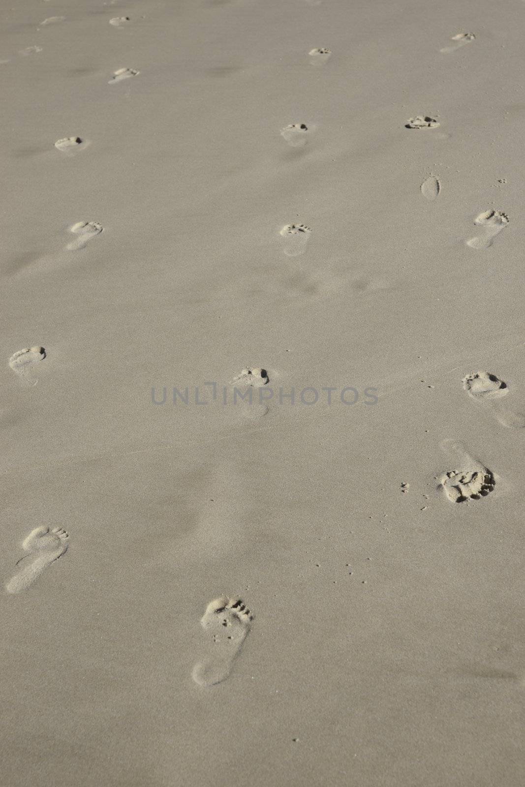 indecision with footprints in sand going back and forth